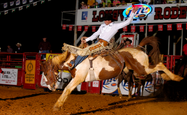 Image: Rodeo in Austin – March 12-26, 2016