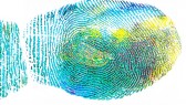 fingerprint-328992_960_720